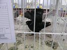 IMG_0033