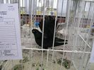 IMG_0035