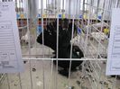 IMG_0036