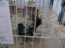 IMG_0039