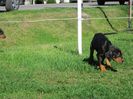 IMG_1554