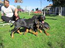 IMG_1572