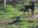 IMG_1598
