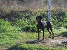 IMG_1600