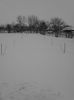 IMG_20140127_133205