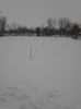 IMG_20140127_133220