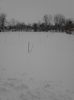 IMG_20140127_133223