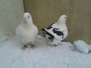 20140128_113744