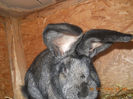 DSCN2003