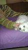 IMAG0065