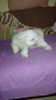 IMAG0064