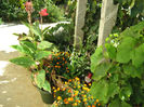 Fl.Curte