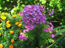 Flox