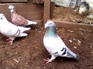 IMG_20131229_115422