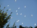 image09