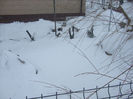 DSCF0566
