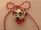 catelus dalmatian 001