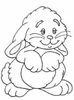 images (16)