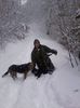 am cautat mistretii pana nea prins iarna pe urma lor:)))