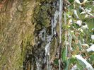 DSCN1420