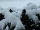 DSCN1436