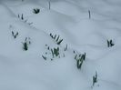 DSCN1446