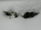 DSCN1447