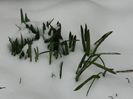 DSCN1448