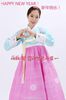 park shin hye hanbok