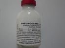 PNEUMOGUARD 20 ML 12 RON