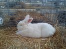 IMG_20140131_144347