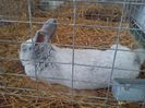 IMG_20140131_144546