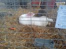 IMG_20140131_144703