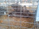 IMG_20140131_145117