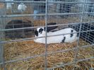 IMG_20140131_145124