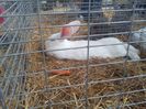 IMG_20140131_145154