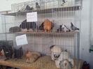 IMG_20140131_145251