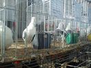IMG_20140131_145658