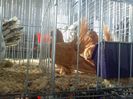 IMG_20140131_145720
