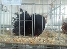 IMG_20140131_145735