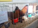 IMG_20140131_145810