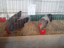 IMG_20140131_145820