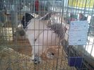 IMG_20140131_145824