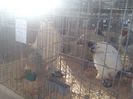 IMG_20140131_145836