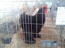 IMG_20140131_145905