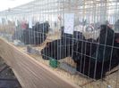 IMG_20140131_150002