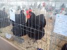 IMG_20140131_150009