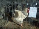 IMG_20140131_150035
