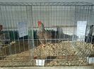 IMG_20140131_150041
