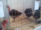 IMG_20140131_150114